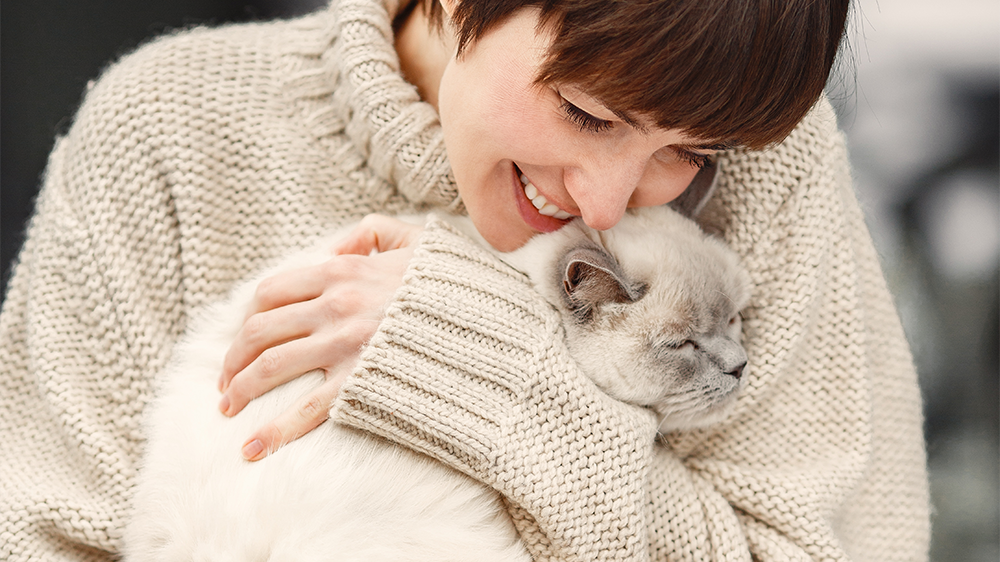 一人暮らしで猫を飼う準備とメリット