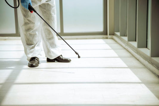 猫がアイシーホットやベンゲイを好きな理由と危険性