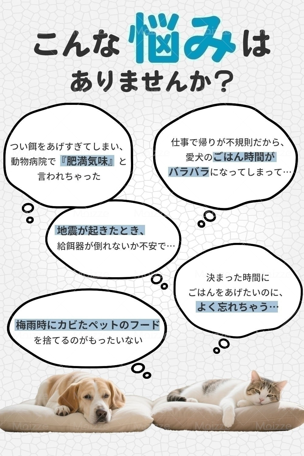 ペットの食べる姿をリプレイ！カメラ付きペット自動給餌器